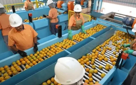 EUA deixam mais de 600 produtos brasileiros fora de nova tarifa de 50%. Veja quais!