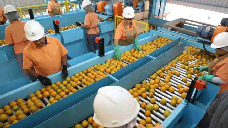 EUA deixam mais de 600 produtos brasileiros fora de nova tarifa de 50%. Veja quais!