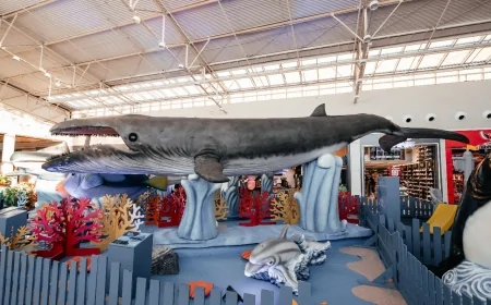 “O Fantástico Mundo Marinho” encanta visitantes em Vila Velha