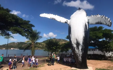 Vitória recebe a 4ª Festa da Baleia Jubarte com arte, música e turismo sustentável