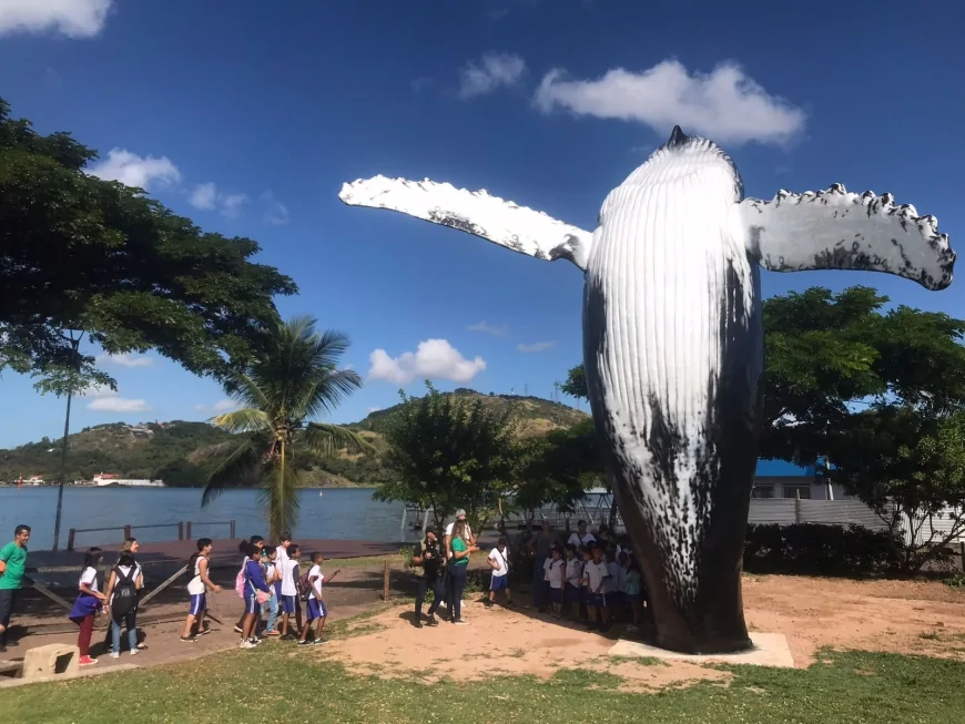 Vitória recebe a 4ª Festa da Baleia Jubarte com arte, música e turismo sustentável