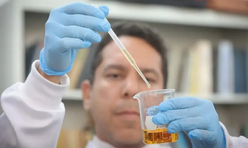 Protocolo inédito é desenvolvido para identificar bebidas adulteradas com metanol