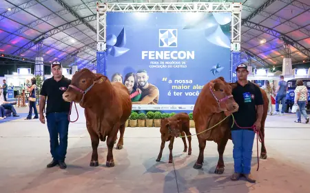 Fenecon 2025 transforma Conceição do Castelo em vitrine de negócios, turismo e inovação