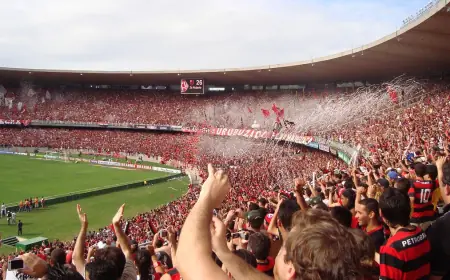 CBF revela novo retrato do torcedor brasileiro em pesquisa nacional