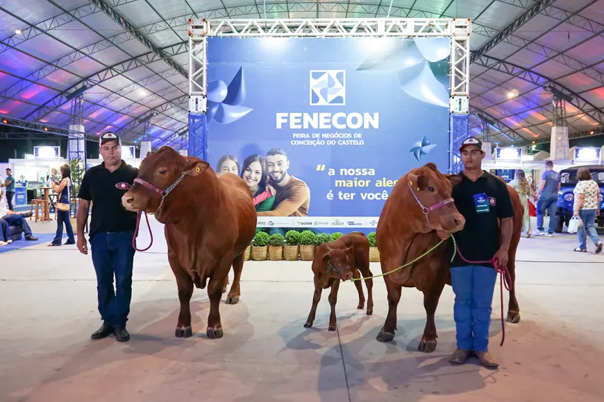 Fenecon 2025 transforma Conceição do Castelo em vitrine de negócios, turismo e inovação