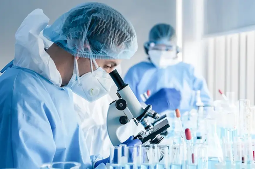 Espírito Santo entra no mapa internacional da pesquisa clínica