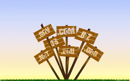 Como Escolher e Registrar o Seu Espaço na Internet sem Surpresas Financeiras