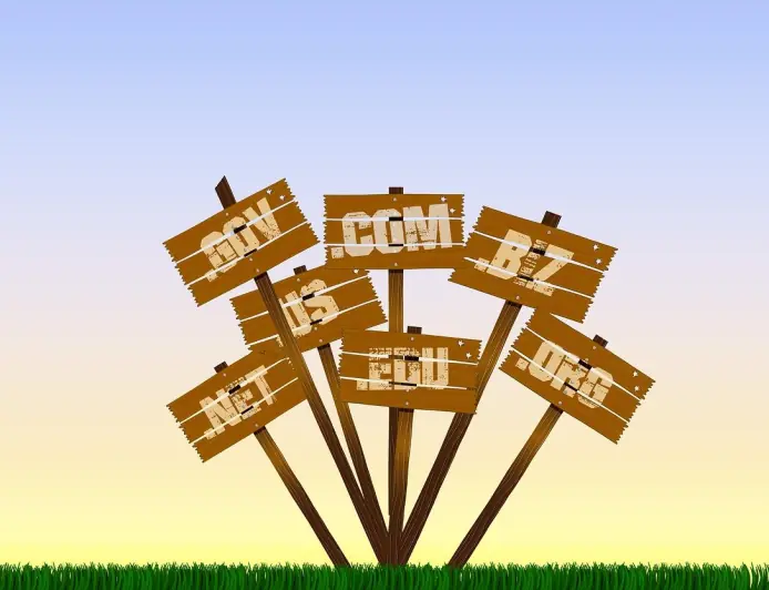 Como Escolher e Registrar o Seu Espaço na Internet sem Surpresas Financeiras