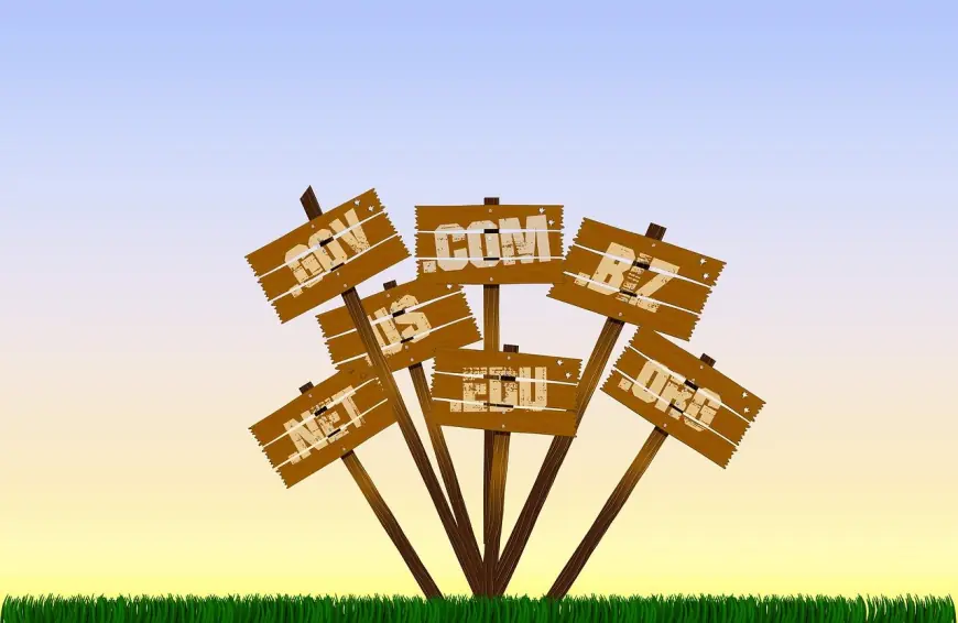 Como Escolher e Registrar o Seu Espaço na Internet sem Surpresas Financeiras